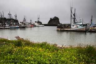 La Push harbor-7210